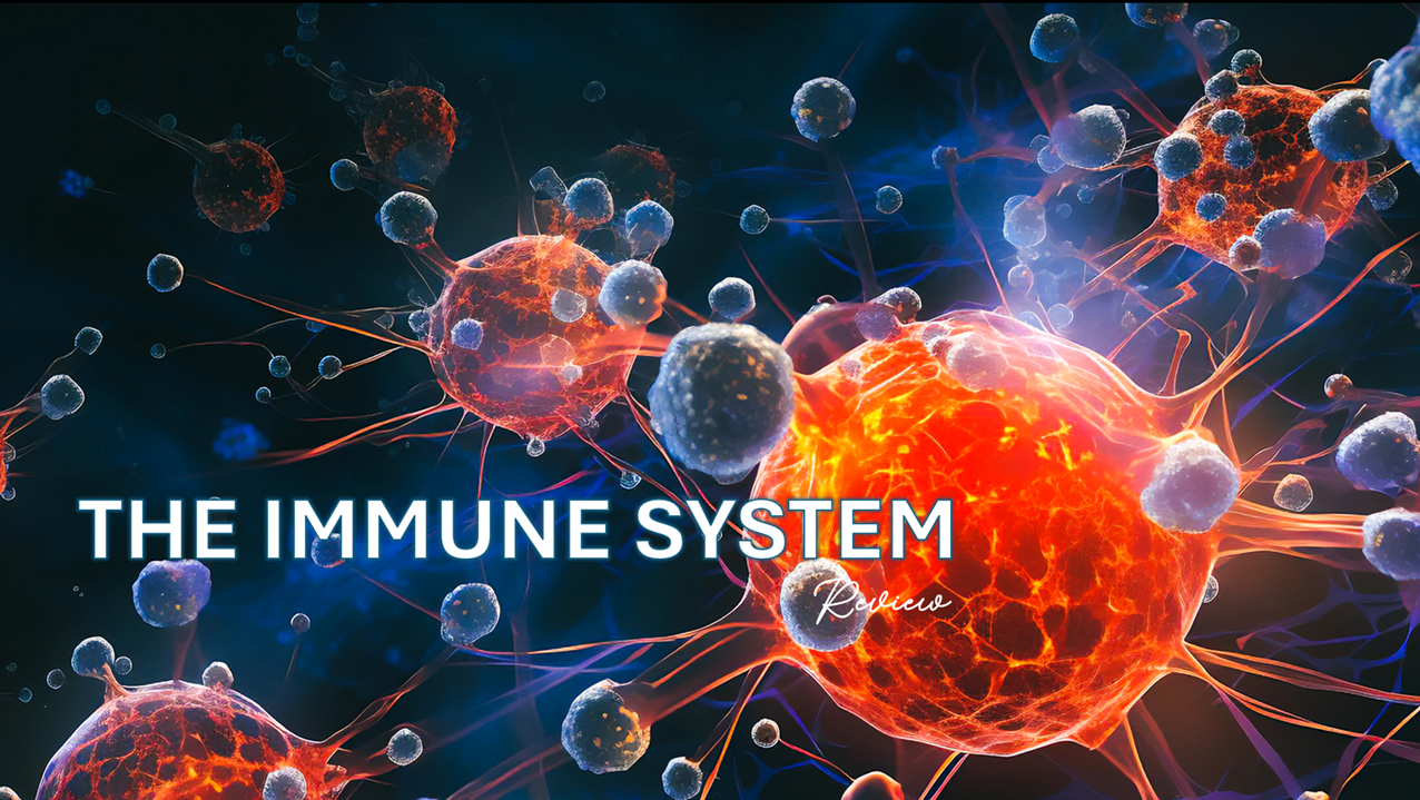 The Immune System